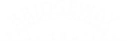 Bridgeway Diagnostics logo